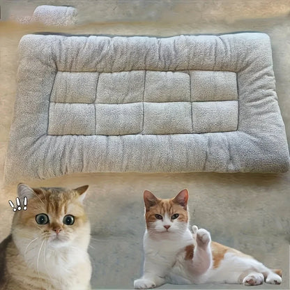 The Lounger