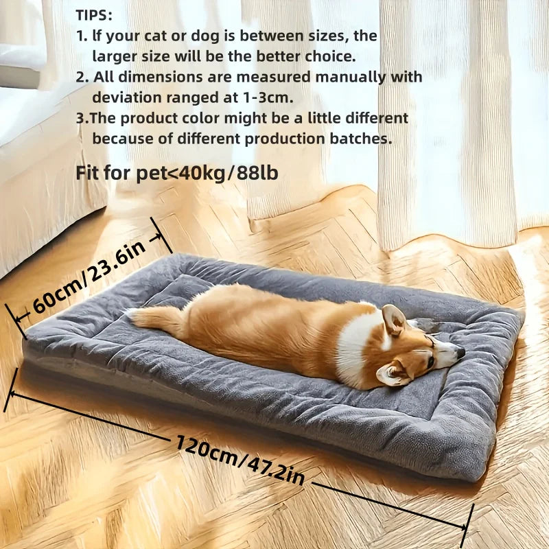 The Lounger
