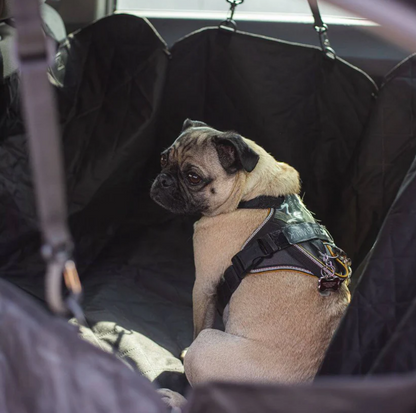 Dog car seat