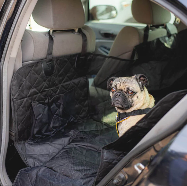 Dog car seat