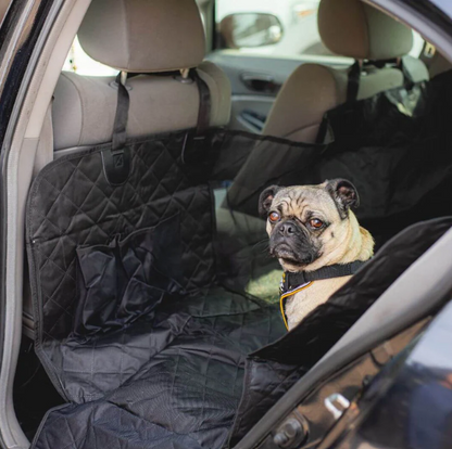 Dog car seat