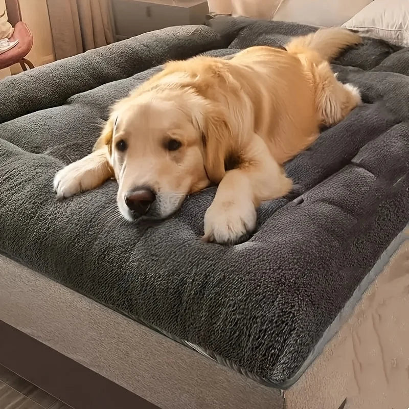 The Lounger